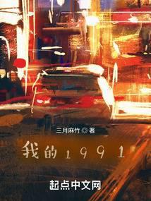 我的1991全本TXT電子書