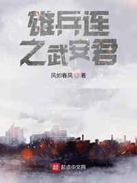 雄兵连1～33集