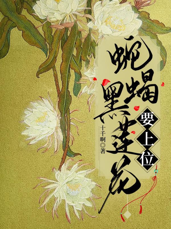 黑蓮花上位1-280集完整版免費